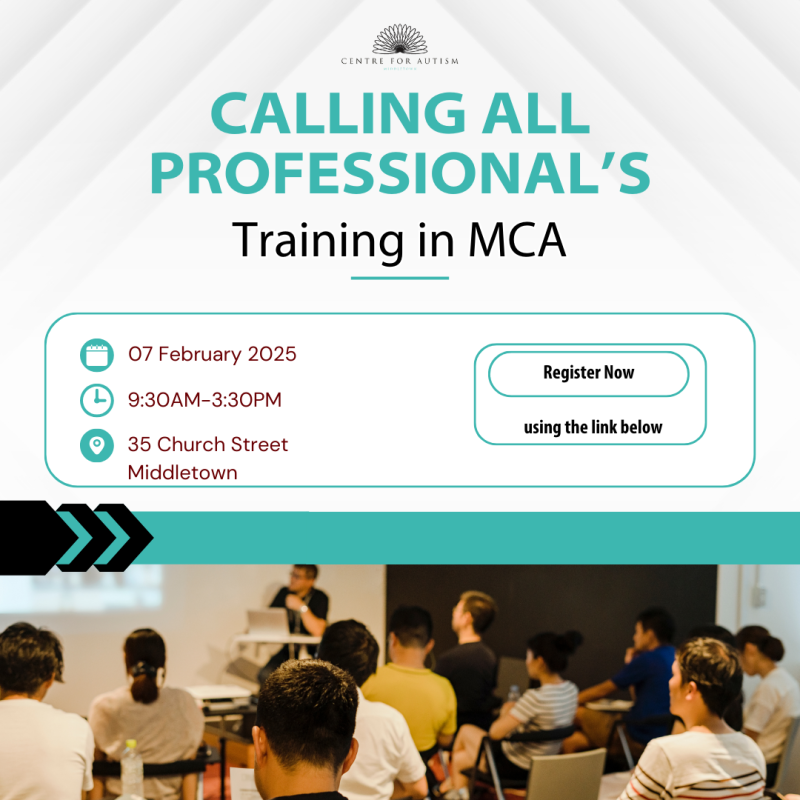 Full day Professional Training