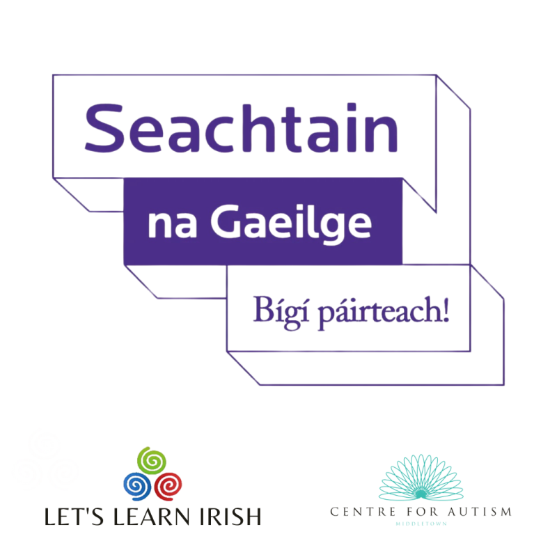 Irish Medium Schools (IM) Feedback Survey