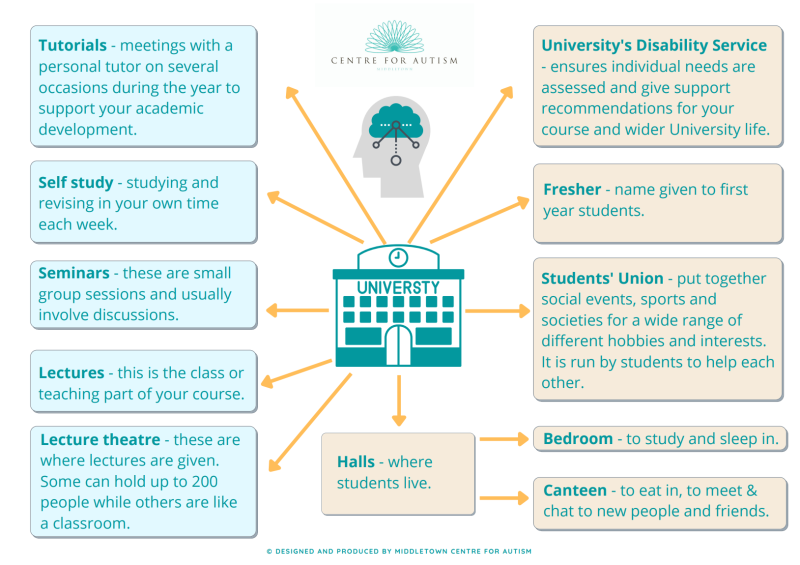 Mind map for starting university