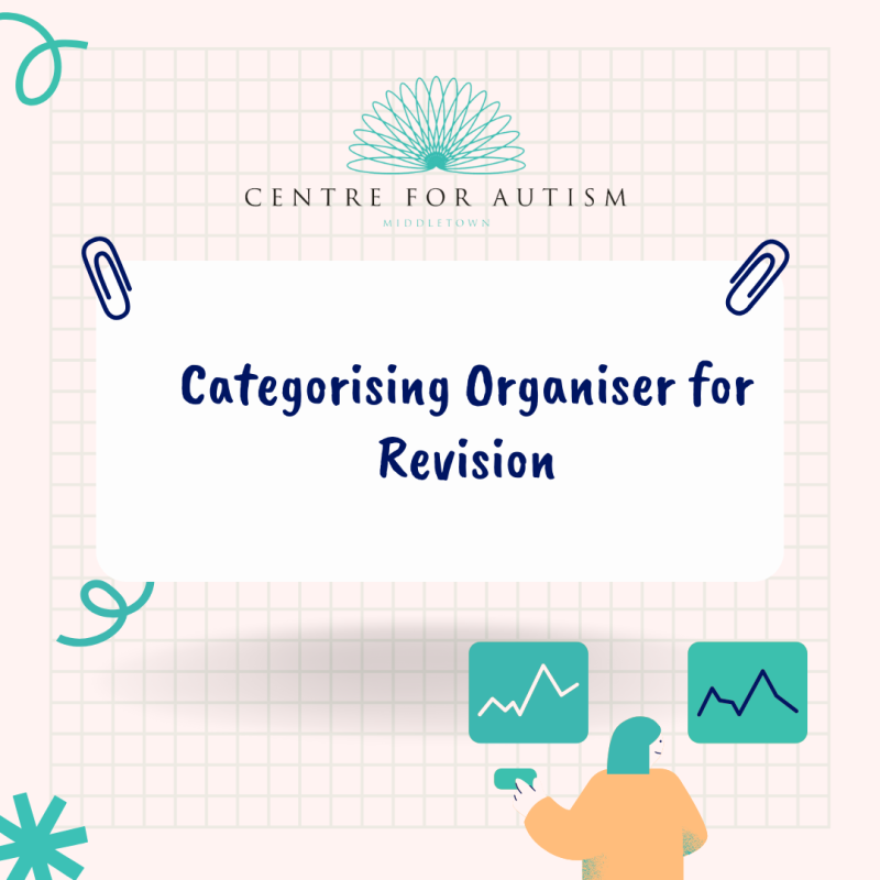 Categorising Organiser for Revision