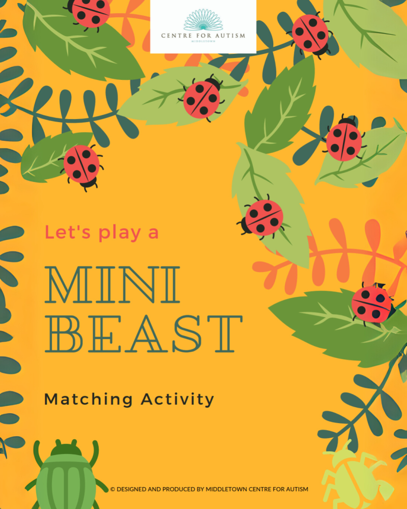 Minibeasts matching activity