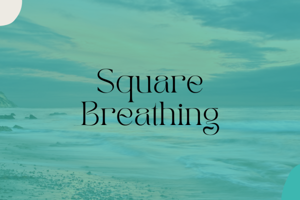 https://middletownautism-staging.scaffold.digital/social-media/square-breathing-5-2024
