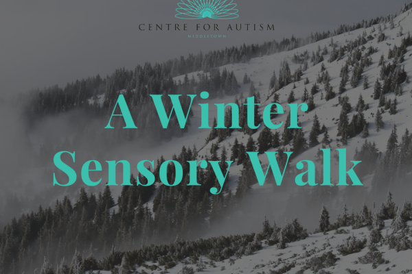 https://middletownautism-staging.scaffold.digital/social-media/a-winter-sensory-walk-12-2020