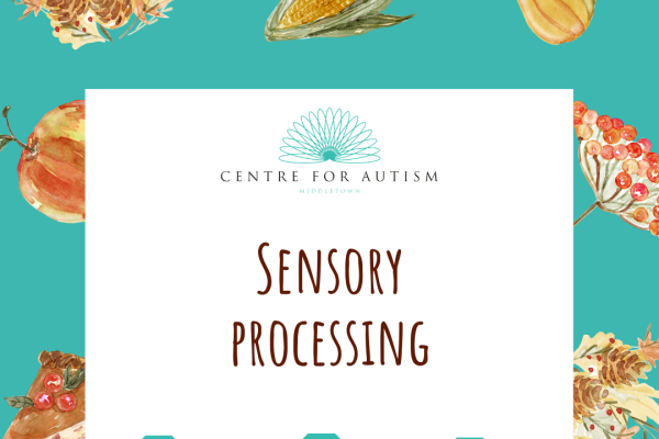 https://middletownautism-staging.scaffold.digital/social-media/online-resource-sensory-processing-2-2021