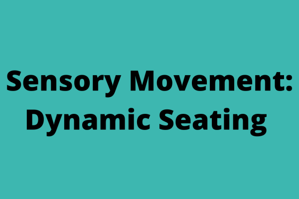 https://middletownautism-staging.scaffold.digital/social-media/sensory-movement-dynamic-seating-7-2022