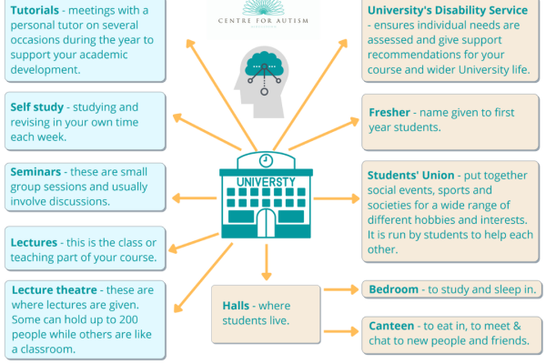 https://middletownautism-staging.scaffold.digital/social-media/mind-map-for-starting-university-8-2024