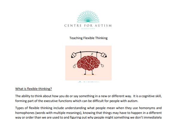 https://middletownautism-staging.scaffold.digital/social-media/how-to-guide-flexible-thinking-8-2020
