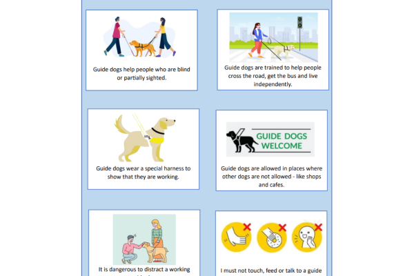 https://middletownautism-staging.scaffold.digital/social-media/international-guide-dog-day-4-2023