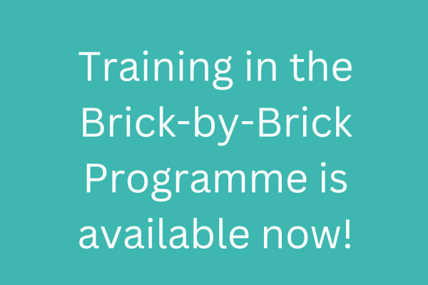https://middletownautism-staging.scaffold.digital/social-media/brick-by-brick-programme-11-2022