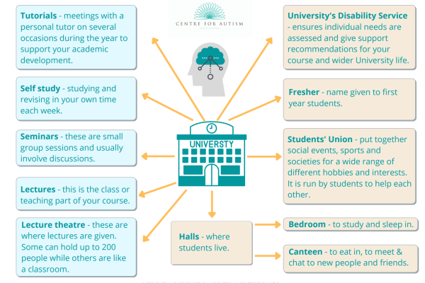 https://middletownautism-staging.scaffold.digital/social-media/mind-map-for-starting-university-8-2025