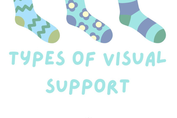https://middletownautism-staging.scaffold.digital/social-media/types-of-visual-support-10-2022