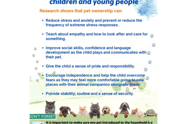 https://middletownautism-staging.scaffold.digital/social-media/benefit-of-having-a-pet-11-2022