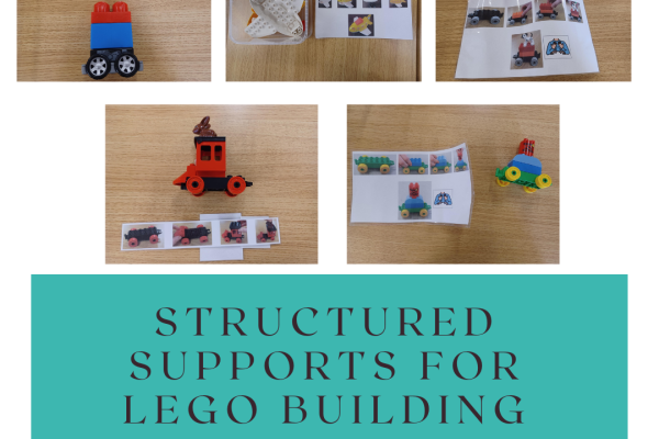 https://middletownautism-staging.scaffold.digital/social-media/structured-supports-for-lego-building-11-2022