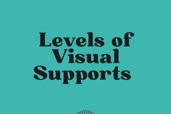 https://middletownautism-staging.scaffold.digital/social-media/levels-of-visual-supports-7-2022